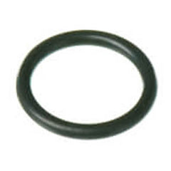 RHEEM RTG20299AN O-RINGS & GASKETS