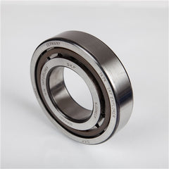 TRITAN NJ2310ECP BEARINGS