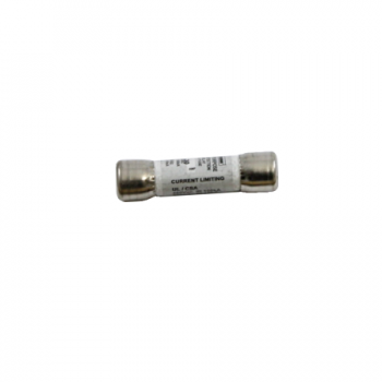 LOCHINVAR 100110720 FUSES