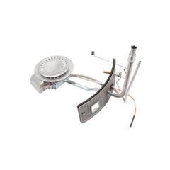 LOCHINVAR 100265712 BURNER ASSEMBLIES