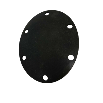 LOCHINVAR 100191119 BURNER GASKETS