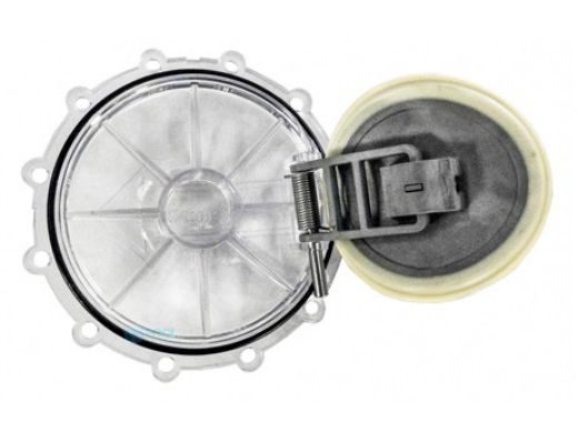 PENTAIR Pentair 270119Z Check Valve Flapper Replacement Kit | 270119Z