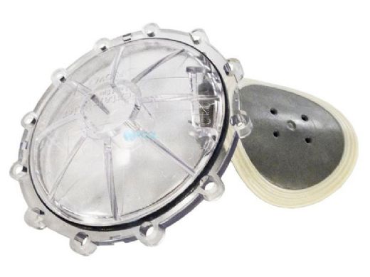 PENTAIR Pentair 270119Z Check Valve Flapper Replacement Kit | 270119Z