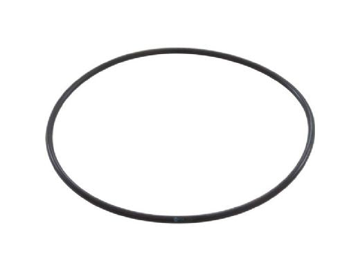 PENTAIR Pentair 270116Z CPVC FullFloxf Check Valve Replacement Parts O-Ring 2-248 Buna-N 70 Shore