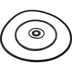 PENTAIR PP1200 GASKETS
