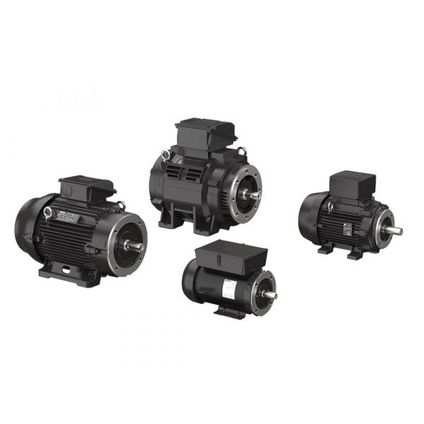 GRUNDFOS 99883318 SPLIT PHASE MOTORS