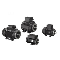 GRUNDFOS 99883318 SPLIT PHASE MOTORS