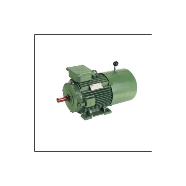 TRANE MOT7519 SPLIT PHASE MOTORS