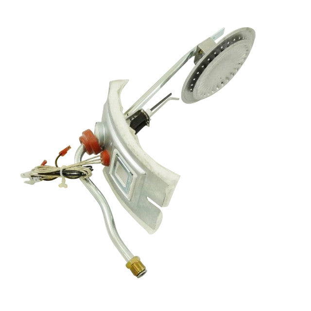 LOCHINVAR 100110753 BURNER ASSEMBLIES