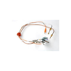 LOCHINVAR 100109243 PILOT ASSEMBLIES
