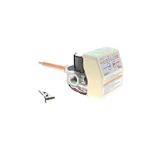 LOCHINVAR 100109424 GAS VALVES