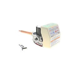 LOCHINVAR 100109424 GAS VALVES