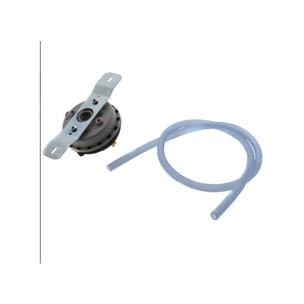 LOCHINVAR 100111063 BLOCKED INLET & OUTLET SWITCHES