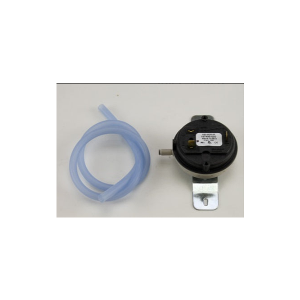 LOCHINVAR 100111020 BLOCKED INLET & OUTLET SWITCHES