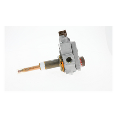 LOCHINVAR 100112613 GAS VALVES