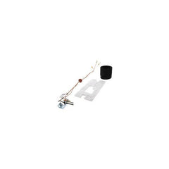 LOCHINVAR 100109294 PILOT ASSEMBLIES