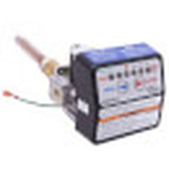CENTURY MOTORS 100112055 GAS VALVES