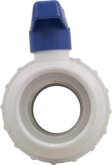 Praher 200-010 Single Union Ball Valve 2-Inch
