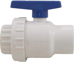 Praher 200-010 Single Union Ball Valve 2-Inch