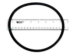 PENTAIR 52000500 O-RINGS & GASKETS