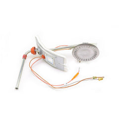 LOCHINVAR 100109308 BURNER ASSEMBLIES