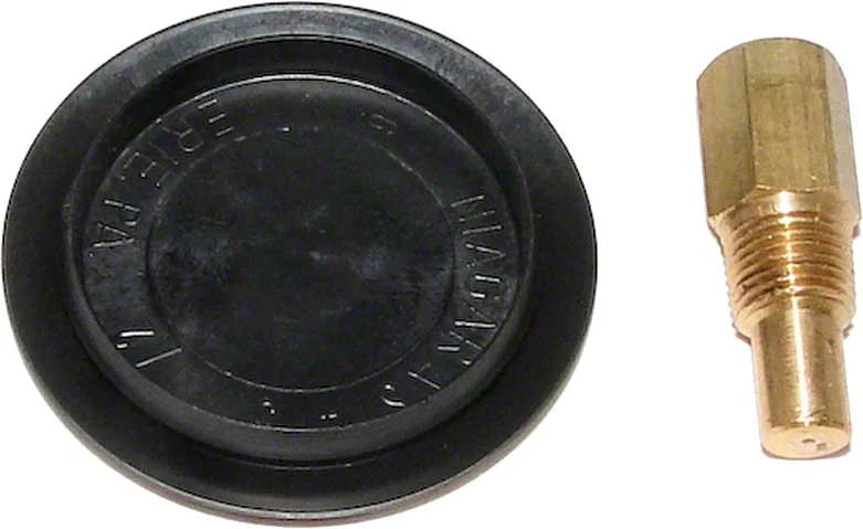 RAYPAK Raypak 005264F Header Drain Plug