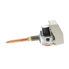 LOCHINVAR 100109677 CONTROL BOARDS