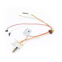 LOCHINVAR 100110946 PILOT ASSEMBLIES