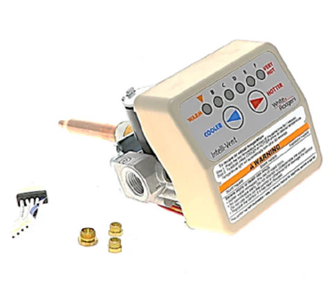LOCHINVAR 100109869 GAS VALVES