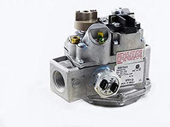 RAYPAK Raypak 007666F Combination Gas Valve Natural Gas