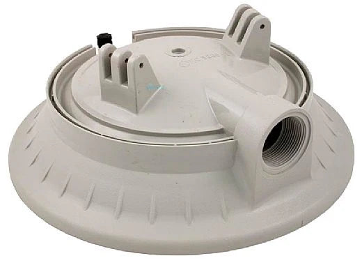 HAYWARD Hayward ECX5000BP Filter Head with Vent Valve