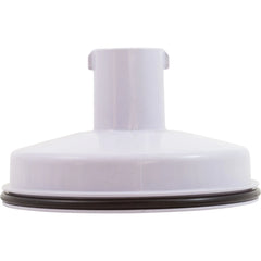 HAYWARD Hayward AXW533AGR Lid Assembly Gray For Hayward Leaf Canisters