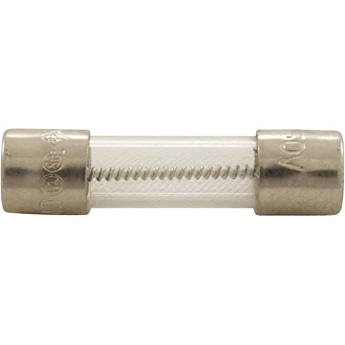HAYWARD Hayward FDXLFSKF30 Bulk 3.0 Amp Mini-Fuse (Qty. 10)