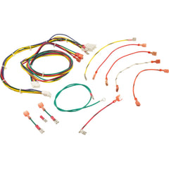 RAYPAK Raypak 005270F Wire Harness R185-R405 IID