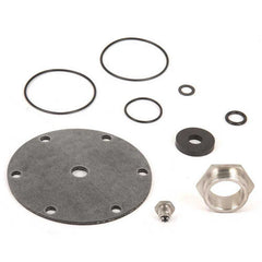 WATTS Watts 0864945 Series RK-LF25AUB-Z4 1-1/2 In. Valve Repair Kit