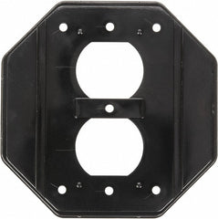 INTERMATIC Intermatic WP101 Duplex Insert Aluminum
