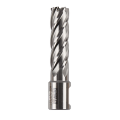 DEWALT DWAC02010 DRILL & DRIVER BITS