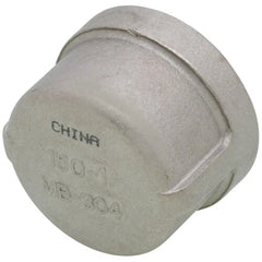 MERIT BRASS Merit Brass K416-16 Banded Pipe Cap, 1 in, FNPT, 150 lb, 304/304L Stainless Steel