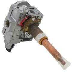 AO SMITH AO Smith 100109446 Natural Gas Control Valve