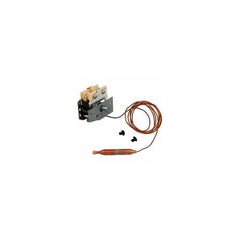 RAYPAK Raypak 003346F Pool Thermostat