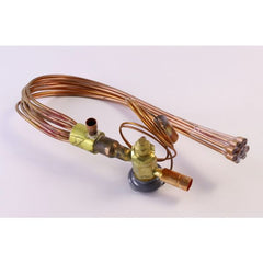 YORK S1-025-51448-000 GAS VALVE ASSEMBLIES
