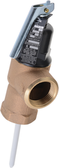 LOCHINVAR 100167403 RELIEF VALVES