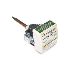 CENTURY MOTORS 9005965005 GAS VALVES