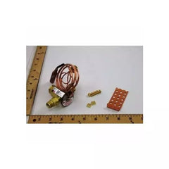 TRANE VAL10395 GAS VALVES