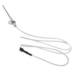 PACKARD Packard PFS401 Flame Sensor
