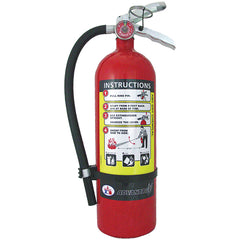 BADGER 21007866 FIRE EXTINGUISHERS
