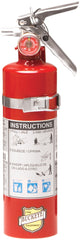 Buckeye 13315 2.5 lb ABC Dry Chemical Fire Extinguisher
