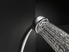 DELTA FAUCET Delta Faucet 59436-PK Multi Function Hand Shower in Chrome