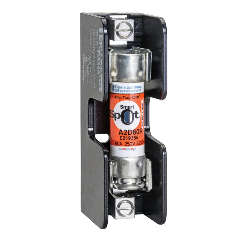 MERSEN Mersen A2D45R 45 Amp, 250 Volt, Class RK1 Time Delay Fuse