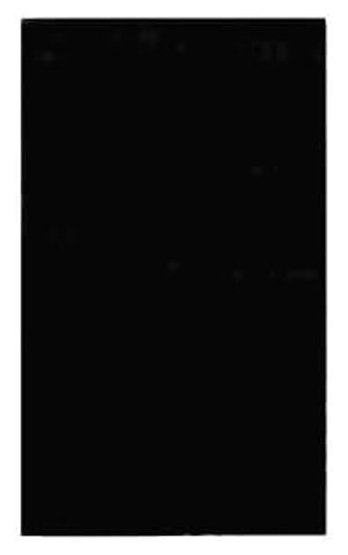 MULBERRY 99151 WALL BRACKETS & PARTS